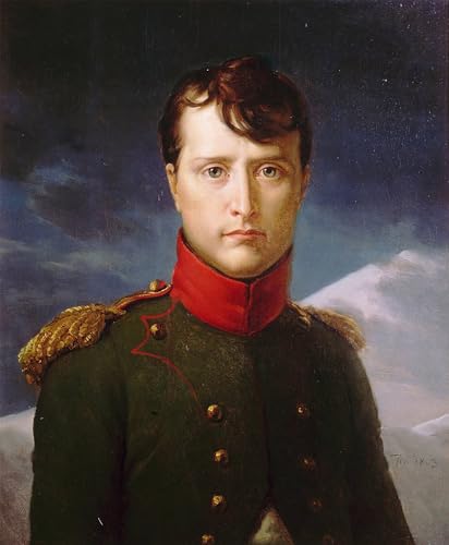 Impression Toile Napoléon Bonaparte Gérard décoration murale salon 60x90