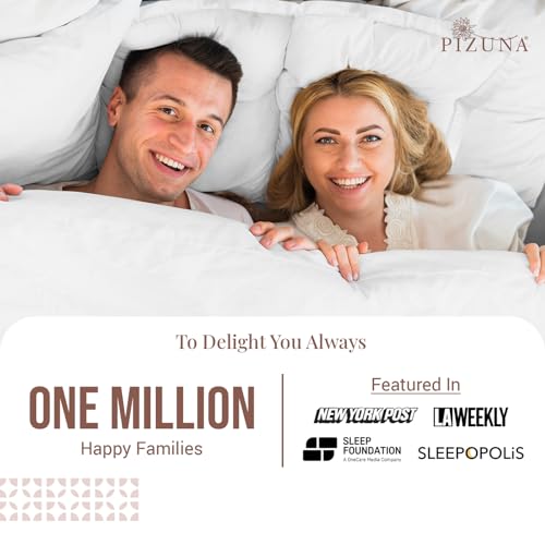 Pizuna Pure 100% Cotton Pillow Shams Queen Size Set of 2 White, Luxurious 400 Thread Count Long Staple Cotton Sateen with Envelope Closure (Combed White Cotton Pillow Shams Queen)
