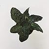 Hemigraphis alternata Purple Waffle, 2" Plant #3