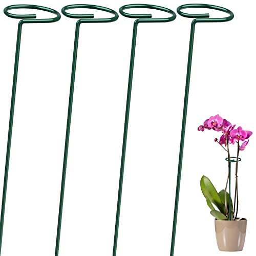4 Pack Plant Support Stakes