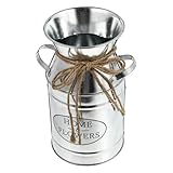 DRESSOOS Cubeta de Hierro Vintage Estilo Retro para Flores Secas Maceta Decorativa Resistente y Fácil de Limpiar para Balcón Salón y Mesa Cubo de Jardín Único para Plantas y Adornos