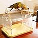 Baoblaze Tabletop Bird Perch Bird Stand Portable Metal Desktop Parrot Play Stand with Potty Tray for Budgies Parakeet Conures Lovebird, Yellow