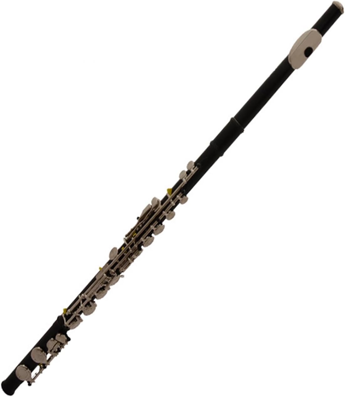 プロ仕様のフルート プロフェッショナルフルート ブラック C クローズドホール