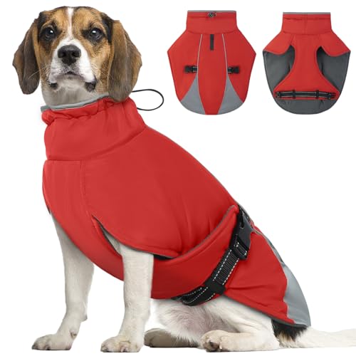 ���^�����^���pYternal Dog Coat ? �\�t�g�t���[�X�̗��n�t���h���W���P�b�g�A���߉\�ȃt�B�b�g���Ɣ��˃g�������b�h L