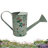 Gießkanne Pflanzen - Mini Indoor Garden Container, Stilvolles Metall...