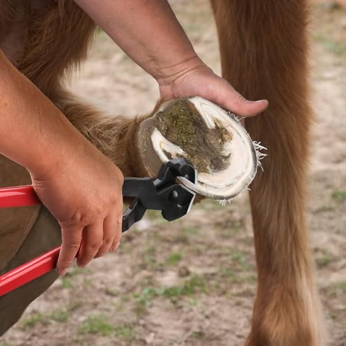 Image of Professional Farrier Tool Kits Hoof rasp hoof Nippers hoof Knife 3 in 1 for Farriers, Veterinarians, and Horsemen