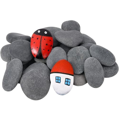 Hisredsun 48 Stück Flache Steine zum Bemalen, 5-8 cm Glatte Große Kieselsteine, Dekosteine Naturstein,Natürlicher Flussstein für Mandala Bemalen,Zen Garten,Blumentöpfen und Aquarien