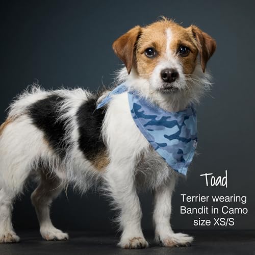 Pet Passion Bandit - THE PET Bandana 100% Organic Cotton Pet Bandanas Clothes for Small, Medium, Large Dogs​​, 3-Pack Sage Camo, Medium/X-Large by Pet Passion - Image 2