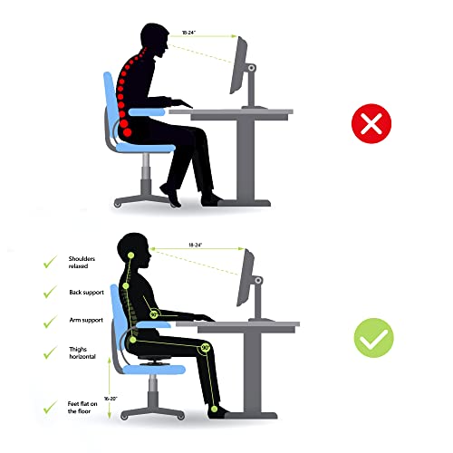 Balance Active Seat Posture Core Trainer | Improve Posture & Stability, Increase Back Muscle Strength While Sitting in Your Chair, Portable Exercise | Perfect Addition to Your Chair or Seating Setup