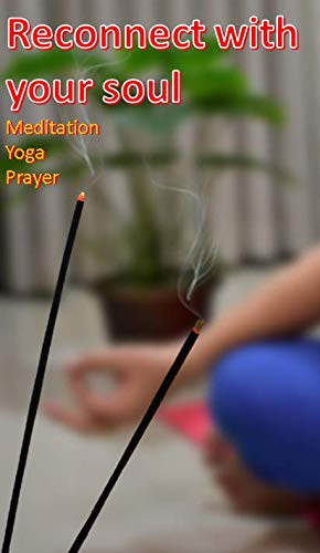Scented Incense Sticks For Prayer Combo Pack Of 8 Fragrances Agarbatti With Handcrafted Metal Burner Holder Set For Relaxing Stress Relief Refreshing Meditation For New Year #TOP5