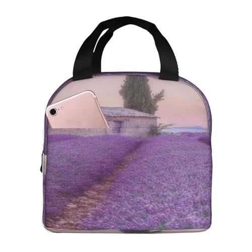 ۗ⃉`obO e h MRh~ ŏv dwZAEghAɕ֗ jp (tX̃x_[tB[hɒޗ[)