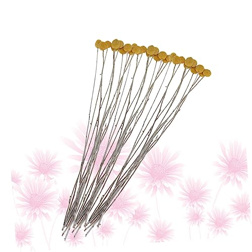 20 piezas flores secas decorativas Craspedia miniatura 2