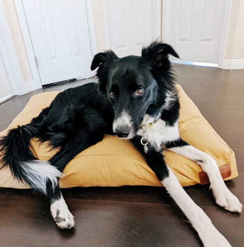 Durable & Comfortable Canvas Dog Bed, Premium Quality Water-Repellent Coating & Dirt Resistance, Removable & Washable Outer Cover, Heavy Duty Zippers For Small & Medium Size Dogs (Large, Tan) #TOP5