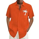 chemise en lin homme 4xl manches courtes; chemise en lin; chemise homme lin; chemisette homme grande taille; lin homme été; chemise homme manches courtes coton; chemisette homme été