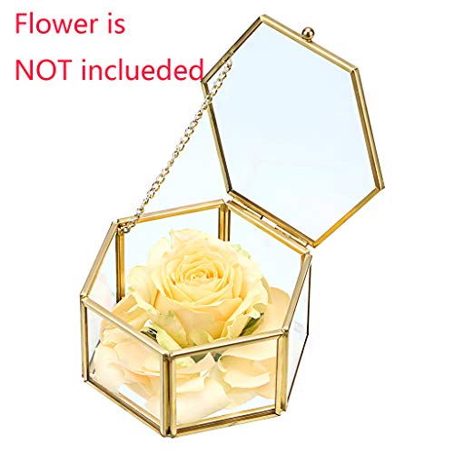 Hipiwe Preserved Flower Glass Box, Hexagon Glass Jewelry Decorative Box, Ornate Trinket Display Organizer Case Keepsake Box Gift For Women And Girls #TOP1