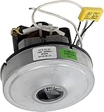 motor 800w 36v  Motor para Aspirador Cenizas 800W