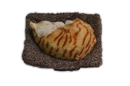 Image of NIKAVI Car Dashboard Soft Toy - car Decorations (M1)