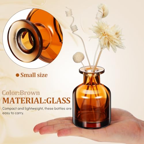 Flacons diffuseurs en verre vides réutilisables Didiseaon avec bâtonnets pour bureau - 6