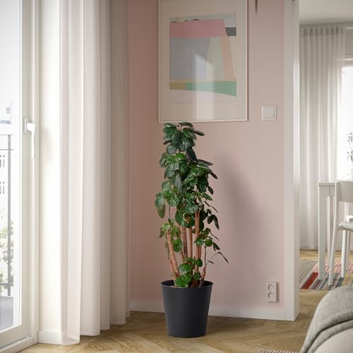 Pot de fleurs intérieur extérieur anthracite ProTuning CITRONMELISS 24cm - 3