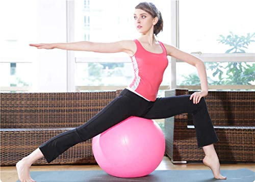 Emoly Exercise Ball for Yoga, Fitness, Balance Stability, Extra Thick Professional Grade Balance & Stability Ball - Anti Burst, Workout Program 2020 (Pink, 45cm) - Thumbnail 3