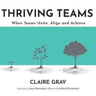 Thriving Teams cover art