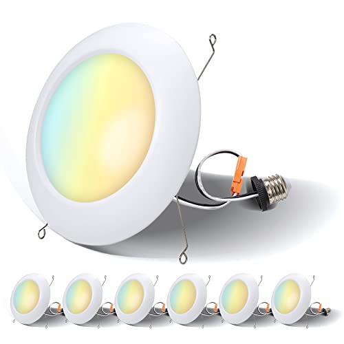 Run Bison 6 Inch 5 CCT Dimmable LED Disk Light Flush Mount, 2700K-5000K Adjustable, Dimmable Recessed Retrofit...