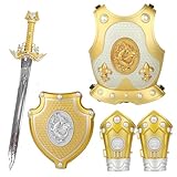 FTingLAND Kids Knight Costume with Armor Set - Medieval Crusader Role Play Costume for Boys 3-5, Plastic Armor Suit with Sword, Shield,Vambrace,Royal King's Crown,Dragon Design Dress Up Cosplay