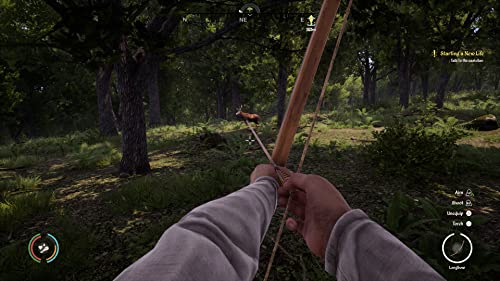 Medieval Dynasty Ps5 - vue 8