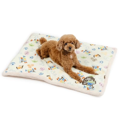 ybgp_CX  }bg ~p fBYj[  {A gCEXg[[ ԊO (80×60cm) Q