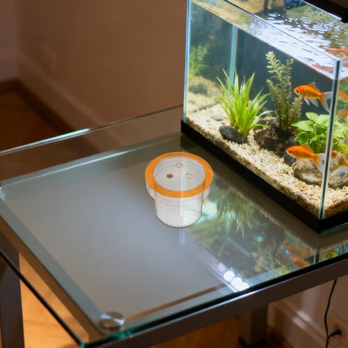Boîte d'isolement pour poissons avec circulation d'eau optimale - 6