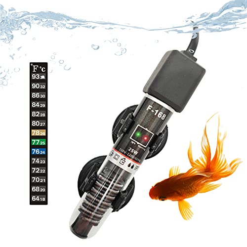 Top 10 Best Betta Heater 3 Gallon Reviews & Buying Guide Katynel