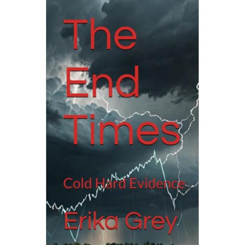 The End Times Audiolibro Por Erika Grey arte de portada