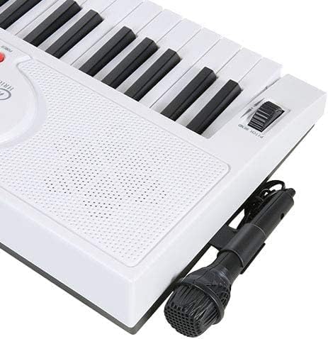 Microphone connected to the Hricane keyboard