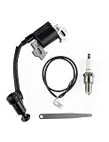 TURBOTUNITY GXV160 HRC216 Igniton Coil for Honda Toro GXV120...