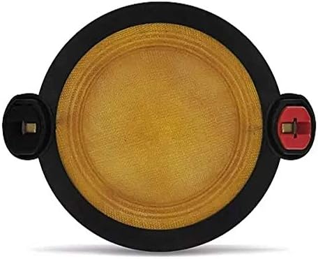 Selenium RPD250X -Watt -Channel Studio Subwoofer, Black