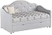 Coaster Home Furnishings Upholstered Twin Daybed with Trundle Pearlescent Grey