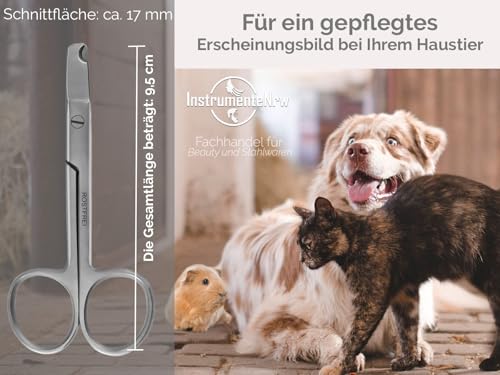 Krallenschere Gerade Krallenzange Ideal für Anfänger Krallenschneider 9,5 cm - Nagelschere - Kürzen von Krallen bei Katzen kleinen Hunden oder Kleintieren - Rostfreier Edelstahl - Markenqualität