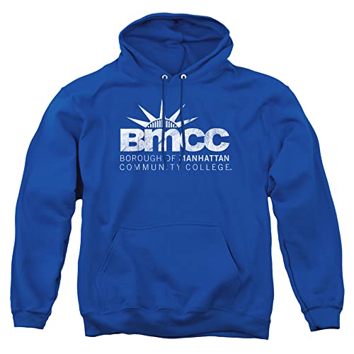 LOGOVISION Official Collegiate Distressed Primary Logo Adult Pullover Hoodie Collection