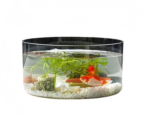 Lamantt̂̏^œPET㐅́ArO[ɍœKłBh~݌vŐk͔|ɍœKłBANfނȂ̂ŁAAؔƂĂg܂BVvŔėp̍fUĆAƒpƂĂƖpƂĂg܂B (卆