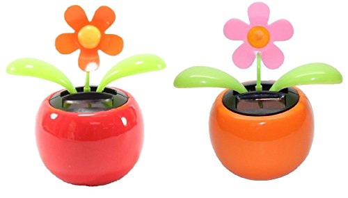 We pay your sales tax Set of 2 Dancing Flowers ~Two Colorful Daisy in Assorted Colors Pots Solar Toy Car Dashboard Home Decor Birthday Congratulatory Easter Gift The Daisies are in Random Colors