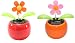 Set of 2 Dancing Flowers ~ 1 Orange 1 Pink Daisy in Assorted Colors Pots Solar Toy Car Dashboard Home Decor Birthday Congratulatory Easter Gift