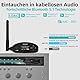 1Mii HiFi Bluetooth Empfänger für Stereoanlage mit LDAC, aptX HD Bluetooth 5.1 Audio Adapter mit Audiophilem DAC, OLED-Bildschirm, Optischer Coaxial RCA Ausgang für AV Receiver, Verstärker -DS500