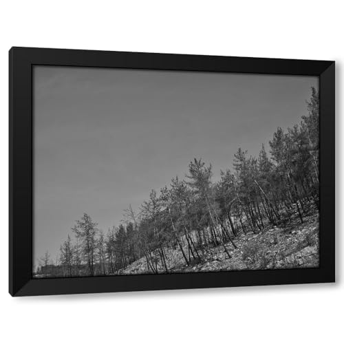 ArtDirect Image Of A Forest After A Fire Custom Framed Art Print Giclee Print or Canvas Options with Various Sizes and Customization by Akyurt, Engin (618750)