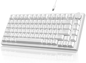 YINDIAO Ajazz AK820 Mechanische Tastatur mit Knopf, 75% ANSI-Layout, 81 Tasten, Kabelgebundene Gaming-Tastatur, Verbesserte Dichtungsmontage, Hot-Swap-B... Schalter, Eisblaues Licht, für PC, MAC (weiß)
