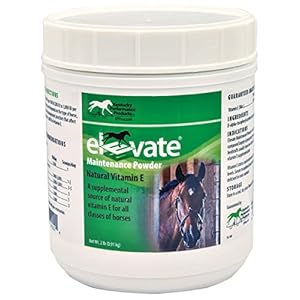 044097 Elevate Maintenance Powder Supplement for Horses, 2 lb