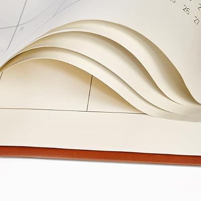 Large Desk Calendar 2026-2027 with Desk Mat, Desktop Calendar Runs from January 2026 to June 2027, Desk Pad Calendar 22 x 17 Inch Perfect for Planning, Organizing, and Scheduling Your Life (Brown)