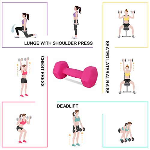Balelinko Hand Weight Neoprene Coated Dumbbell, Exercise & Fitness Dumbbell For Home Gym Equipment Workouts Strength Training Free Weights For Women, Men, Seniors, Teens, And Youth, 12 Lb Pink, Single #TOP5