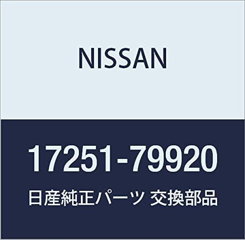 Nissan 17251-79920, Fuel Tank Cap