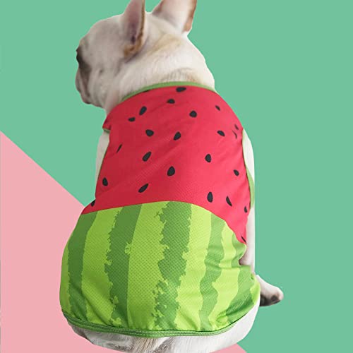 Chaleco de enfriamiento para perros pequeños con estampado de sandía HMJGDHX 3