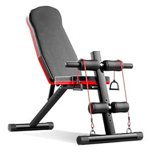 Lions Adjustable Gym Bench – Foldable Home Gym Exercise Weight Workout Bench with Resistance Bands, Multi Purpose Incline Decline Full Body Workout Strength Training